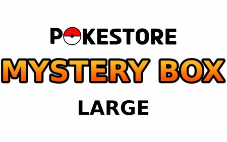 Pokemon Mystery Box Large