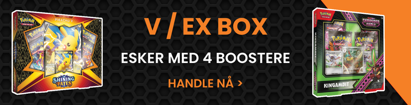 Pokemon V Box / Ex Box