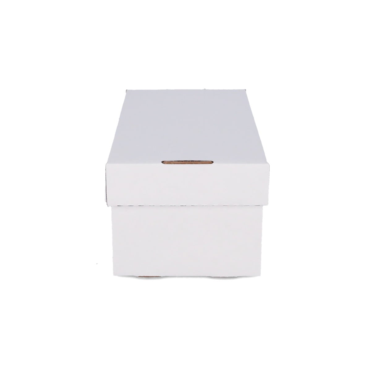 BCW Graded Shoe Box