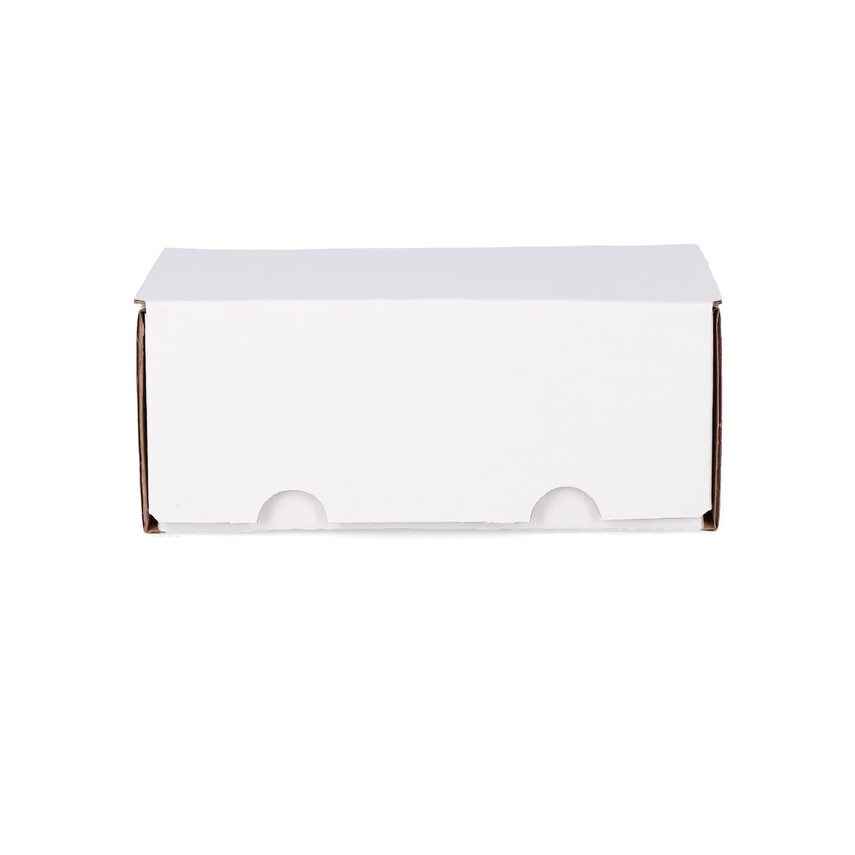 BCW Graded Trading Card Box