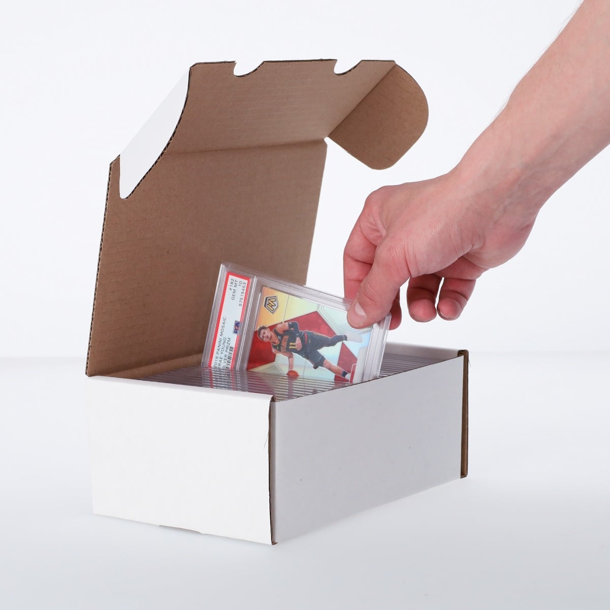 BCW Graded Trading Card Box
