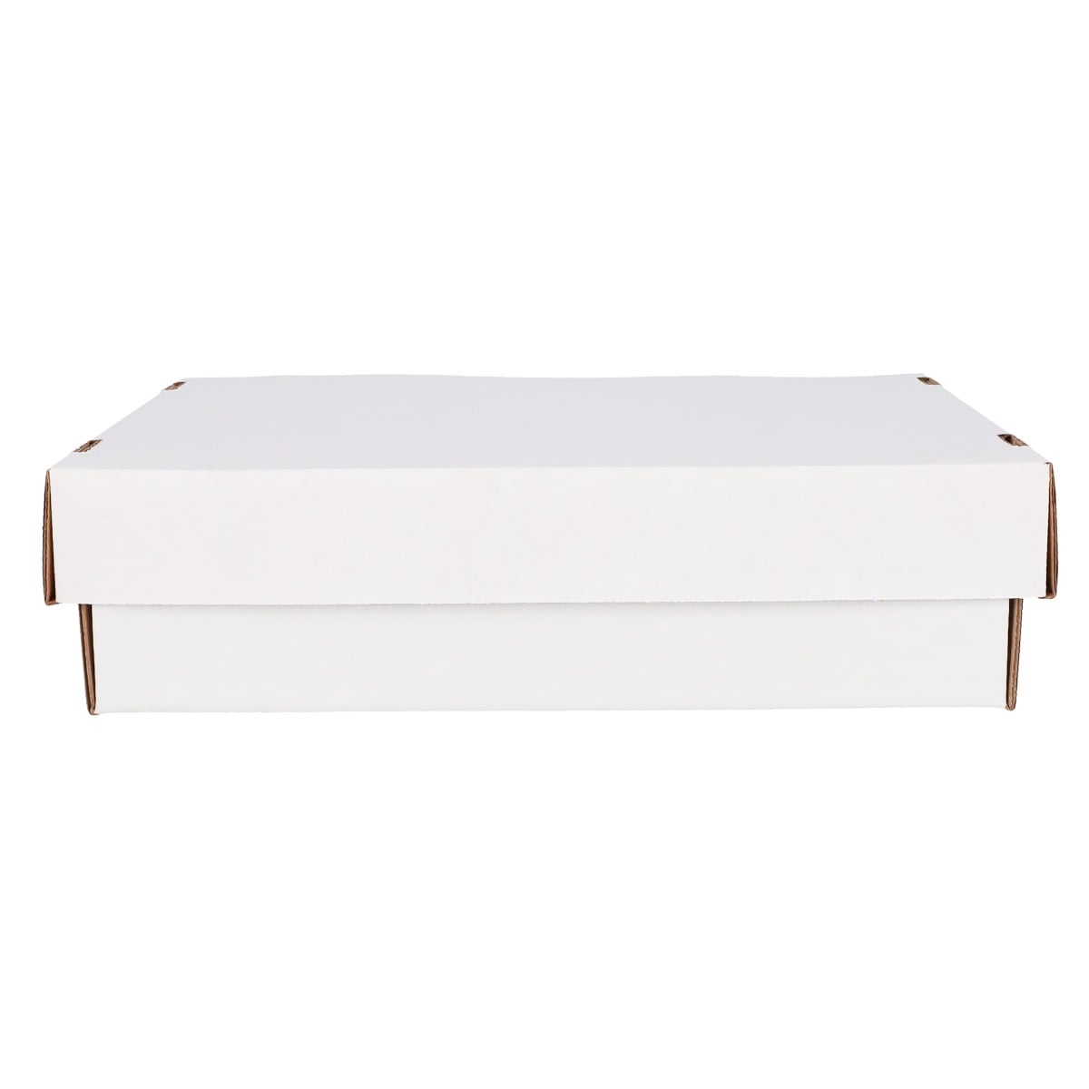 BCW Monster Storage Box (3200)