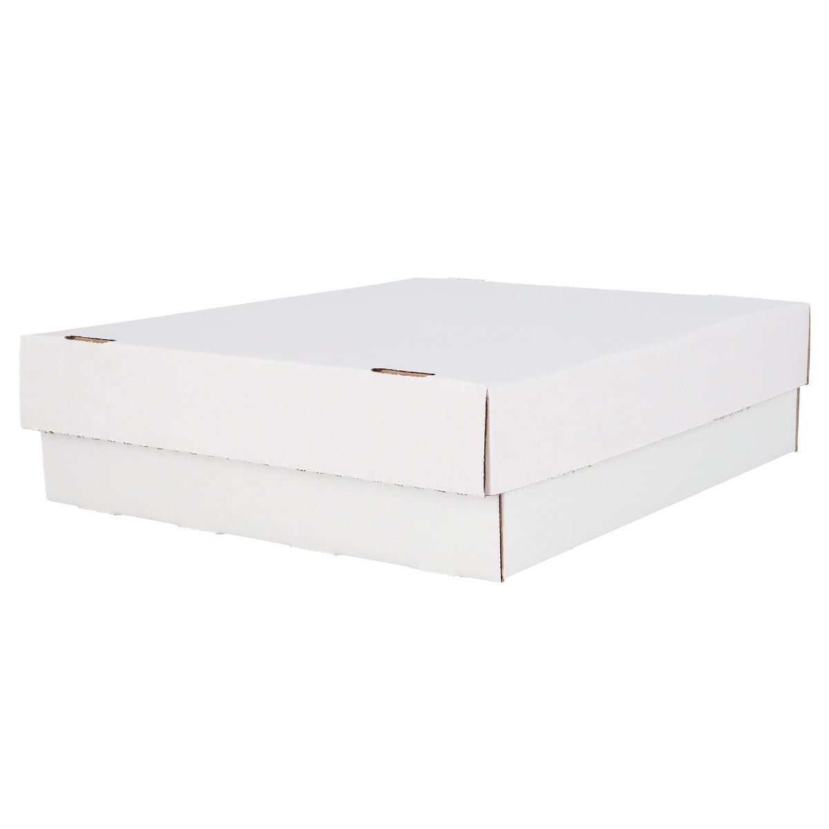 BCW Monster Storage Box (3200)