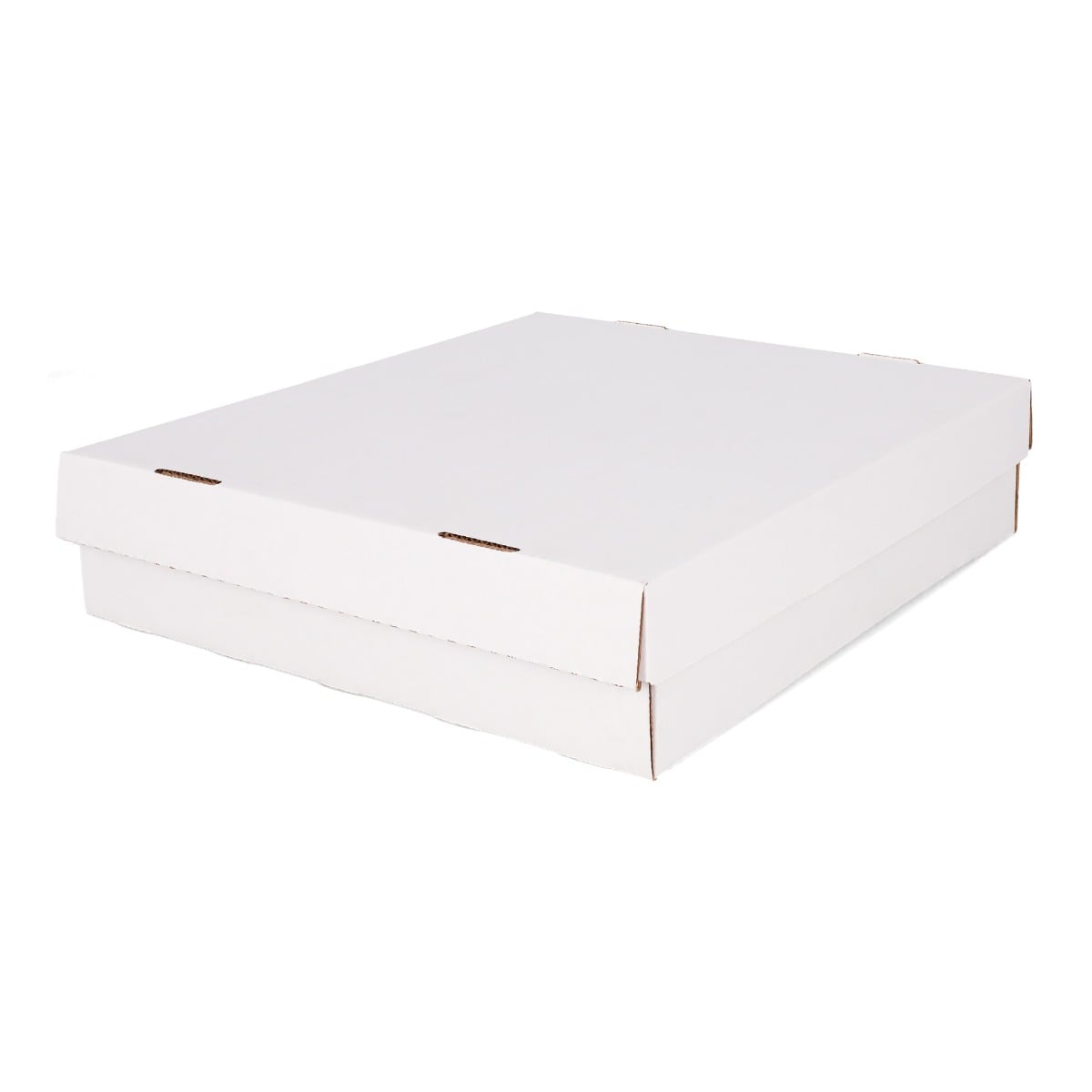 BCW Super Monster Storage Box (5000)