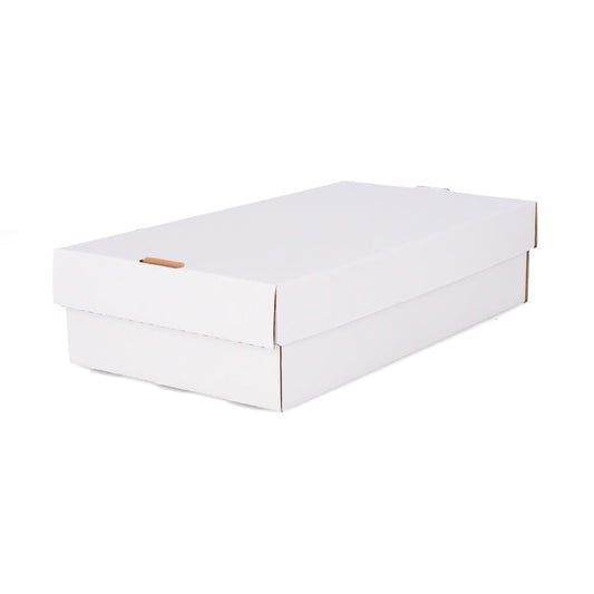 Hvit BCW Super Shoe Storage Box uten lokk, sett skrått forfra med tomme kortrom