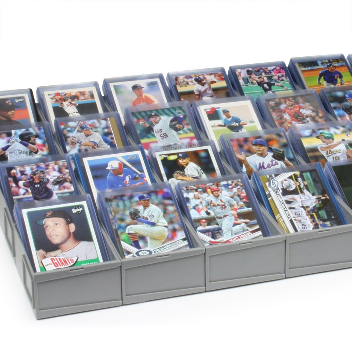 BCW Modular Sorting Tray