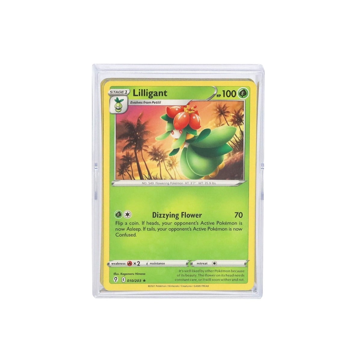 BCW 2-Piece Slider Box