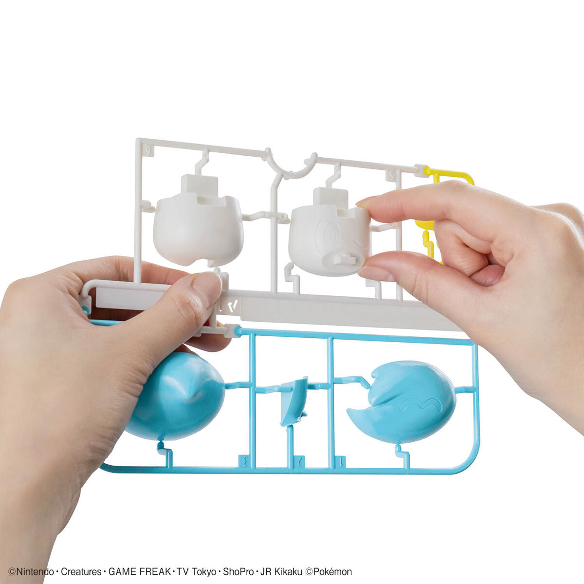Pokemon Bandai Spirits Quaxly Model Kit