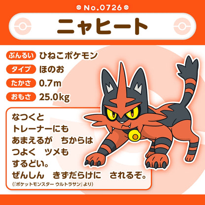Pokemon Center Japan Torracat Fit Plush