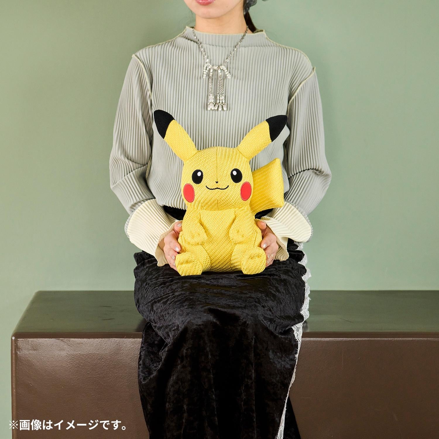 Pokemon Center Japan Friends Series Pikachu Plush