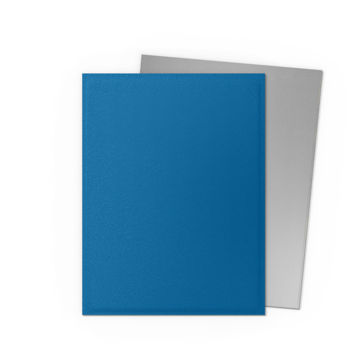 Dragon Shield Dual Matte Sleeves