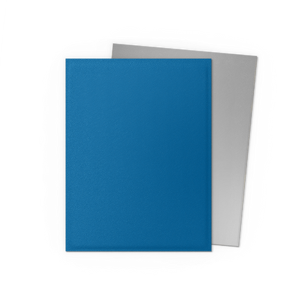 Dragon Shield Dual Matte Sleeves