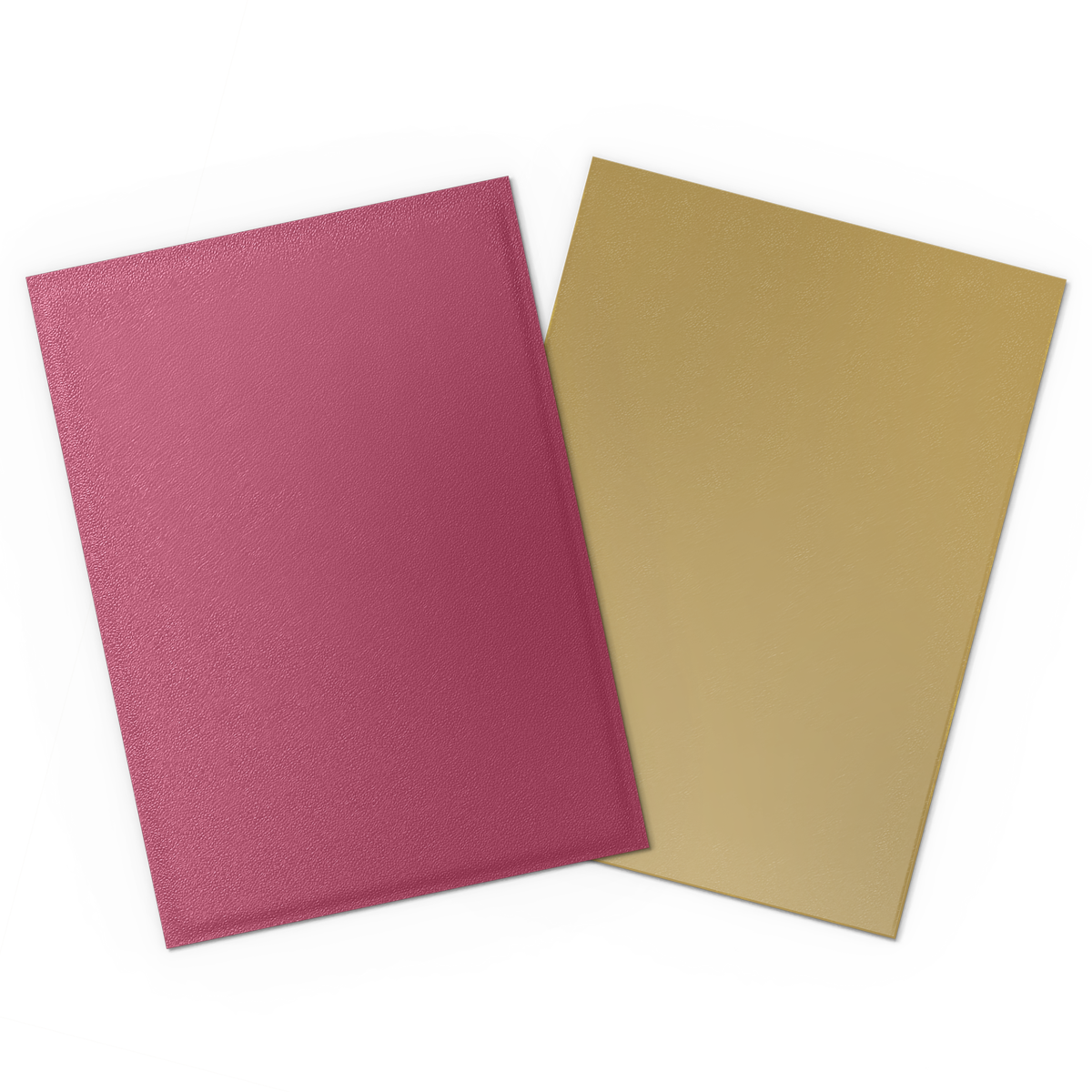Dragon Shield Dual Matte Sleeves