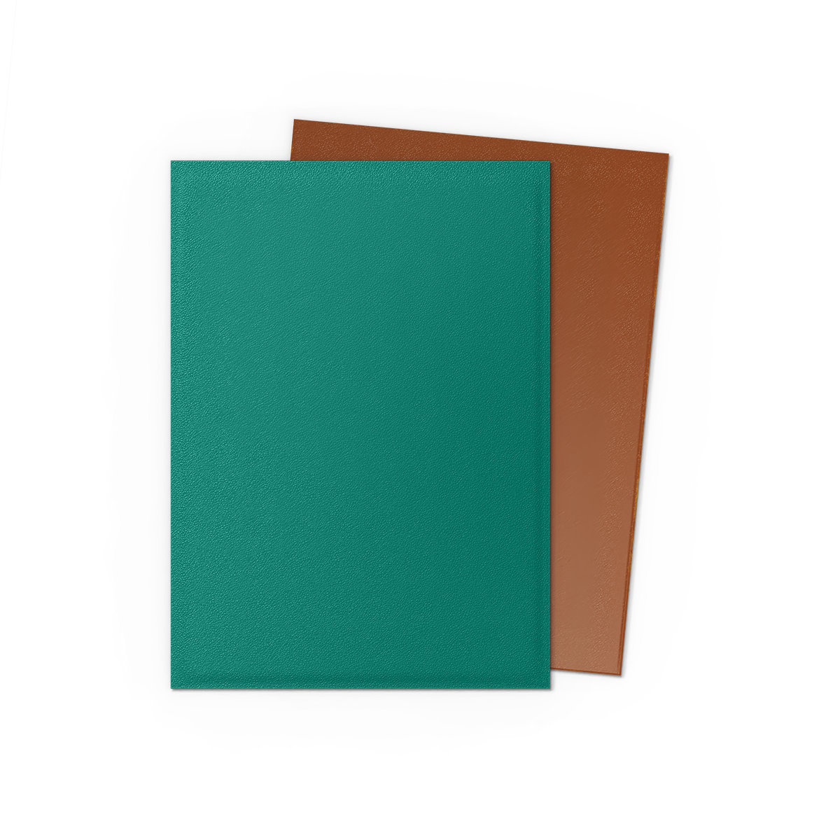 Dragon Shield Dual Matte Sleeves (100 stk)