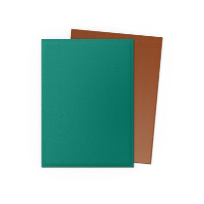 Dragon Shield Dual Matte Sleeves (100 stk)