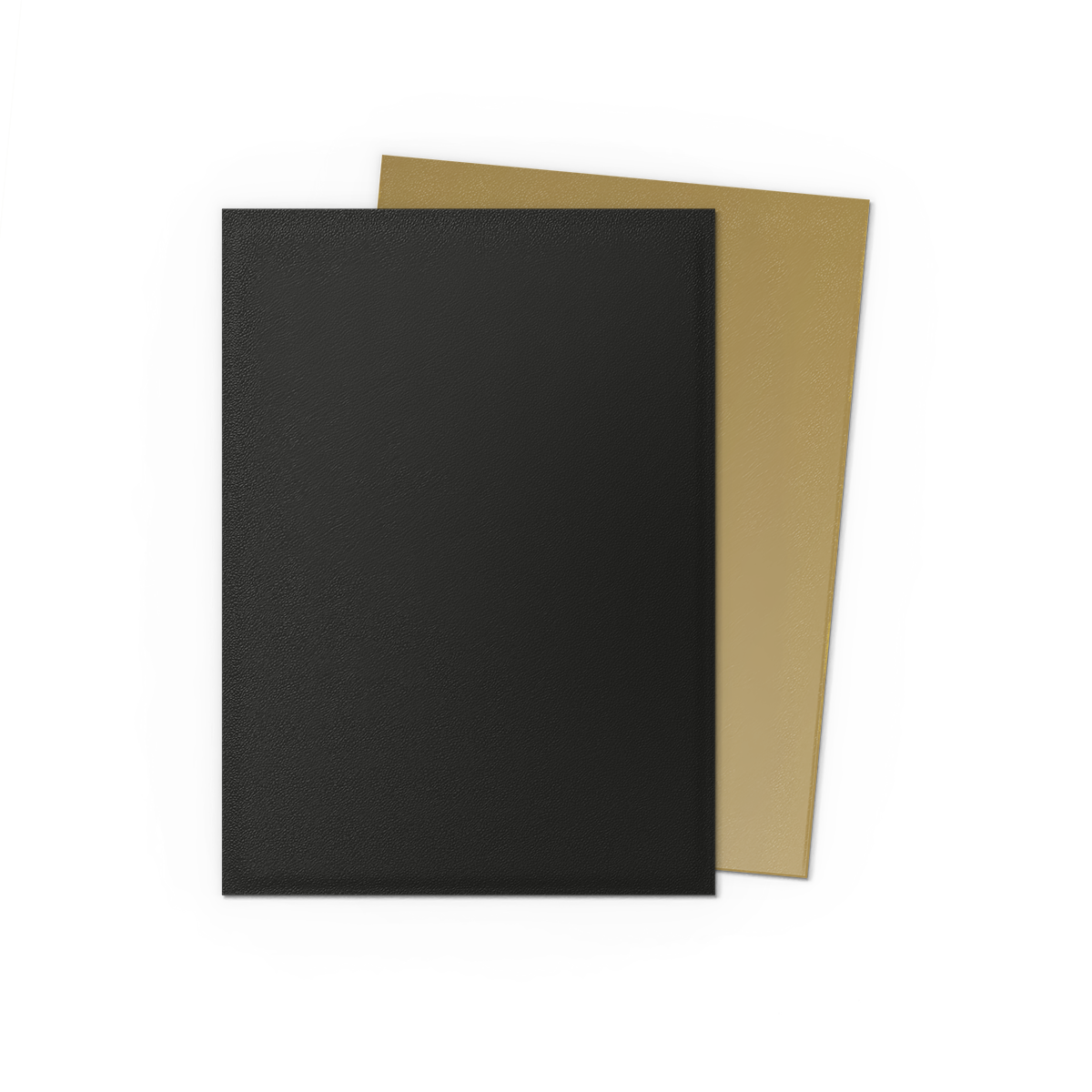 Dragon Shield Dual Matte Sleeves (100 stk)