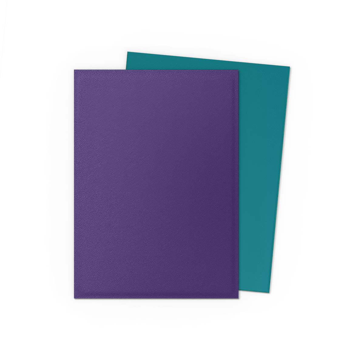 Dragon Shield Dual Matte Sleeves (100 stk)