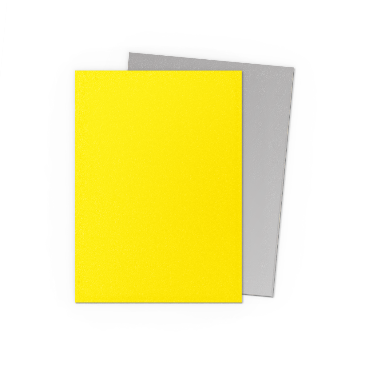 Dragon Shield Dual Matte Sleeves