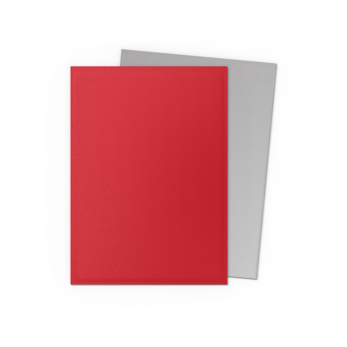 Dragon Shield Dual Matte Sleeves