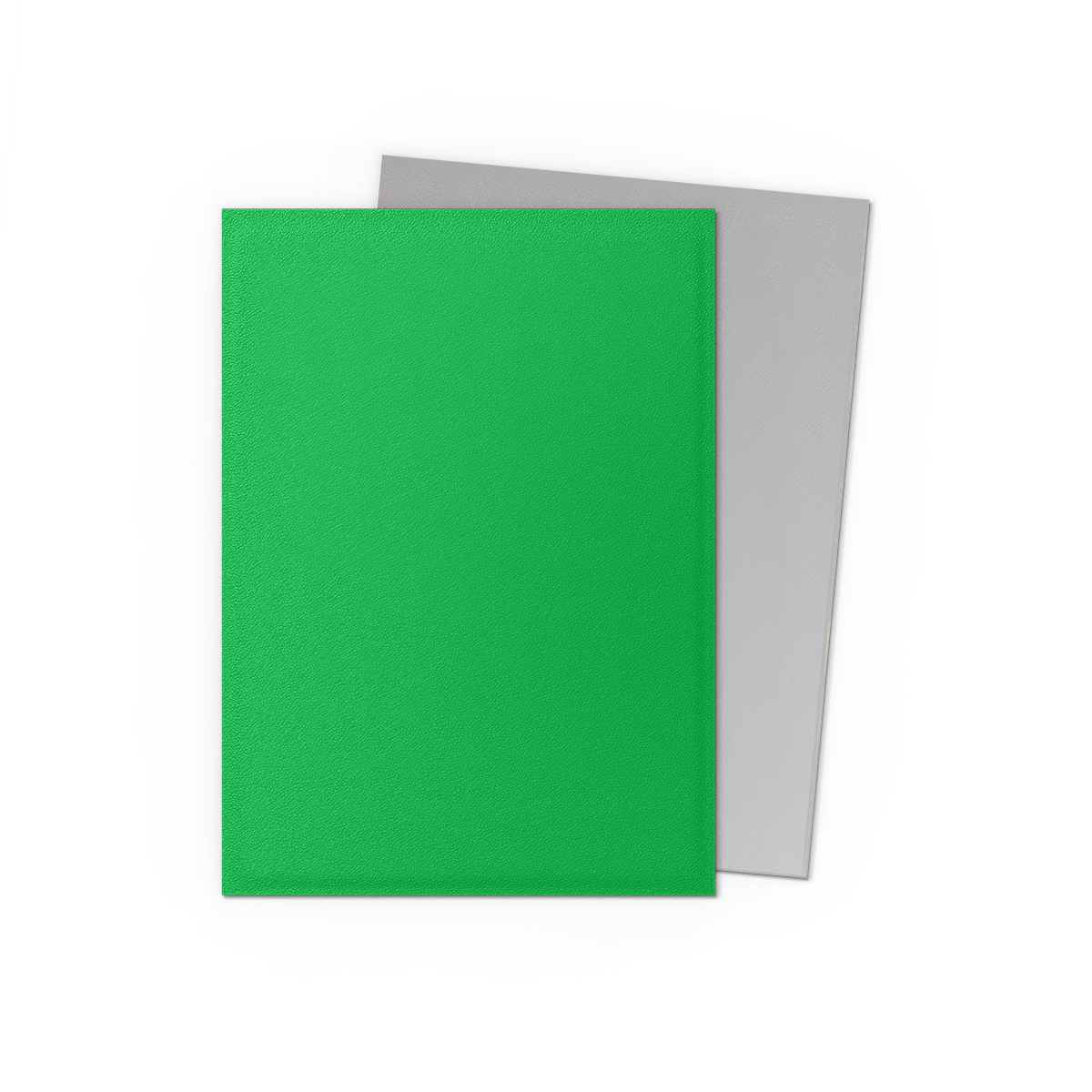 Dragon Shield Dual Matte Sleeves