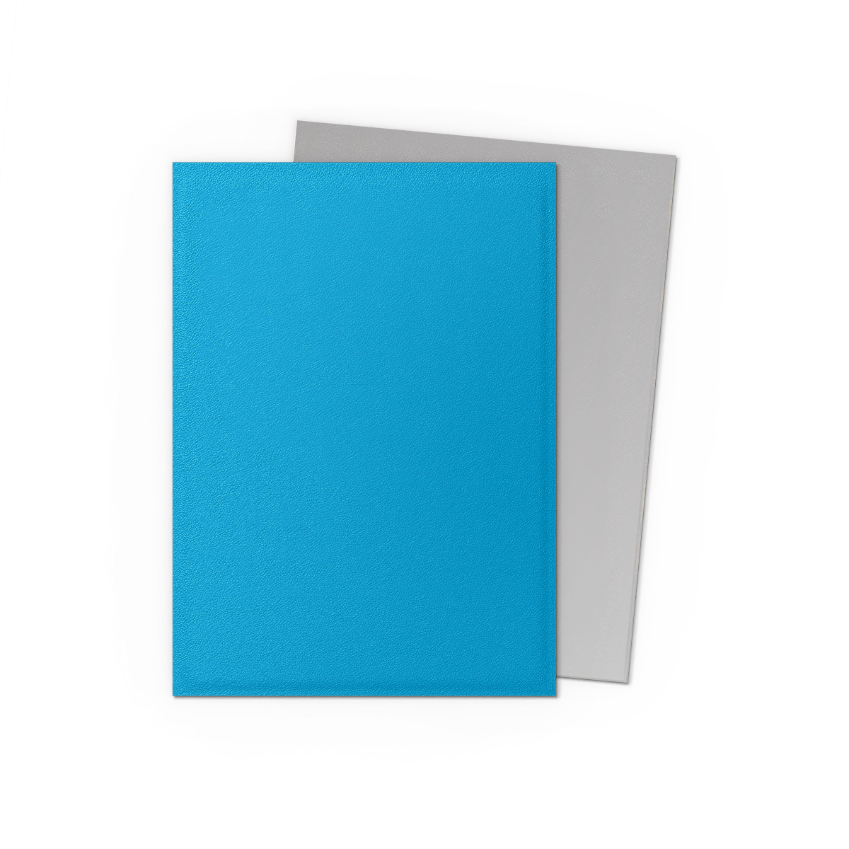 Dragon Shield Dual Matte Sleeves