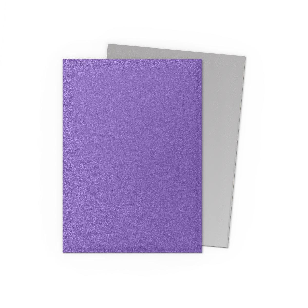 Dragon Shield Dual Matte Sleeves