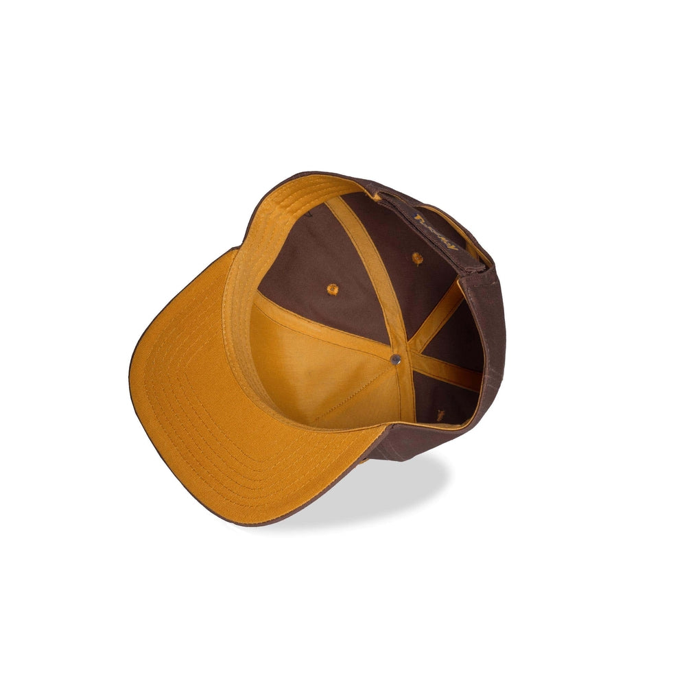 Pokemon Eevee Novelty Caps