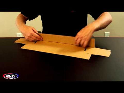 BCW 800 Count Storage Box (2-Piece)