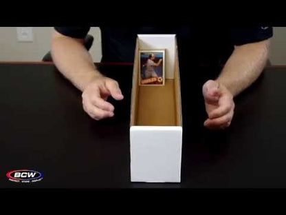 BCW Vault Storage Box